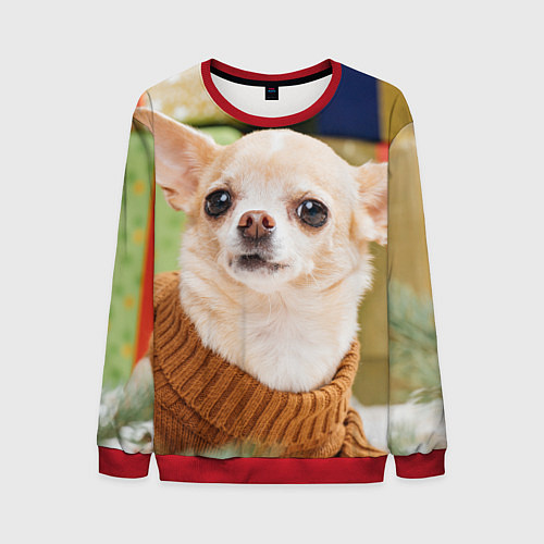 Мужской свитшот Праздничный чихуахуа / 3D-Красный – фото 1