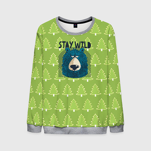 Мужской свитшот Оставайся диким / 3D-Меланж – фото 1