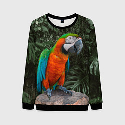 Свитшот мужской Попугай Макао, цвет: 3D-черный