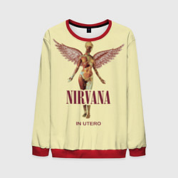 Свитшот мужской Nirvana - In utero, цвет: 3D-красный