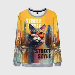 Свитшот мужской Кот в городе - street style, цвет: 3D-меланж