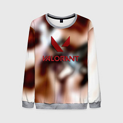 Свитшот мужской Valorant riot games, цвет: 3D-меланж