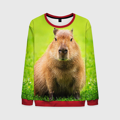 Мужской свитшот Capybara on green grass / 3D-Красный – фото 1