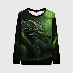 Свитшот мужской Зеленый дракон символ 2024, цвет: 3D-черный