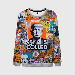 Мужской свитшот Donald Trump - american сollage