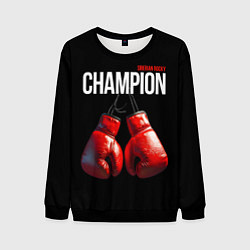 Свитшот мужской Siberian Rocky Champion, цвет: 3D-черный