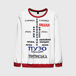 Свитшот мужской Прикольная анатомия мужчины, цвет: 3D-красный