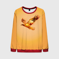 Свитшот мужской Орел с пейзажем на закате двойная экспозиция, цвет: 3D-красный