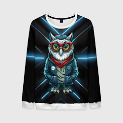 Мужской свитшот Сова в стильной одежде модница