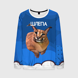 Мужской свитшот Довольный Шлепа