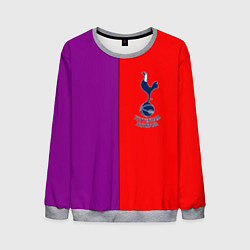 Мужской свитшот Tottenham fc geometry