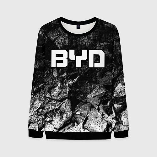 Мужской свитшот BYD black graphite / 3D-Черный – фото 1