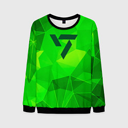 Свитшот мужской Seventeen green poly, цвет: 3D-черный