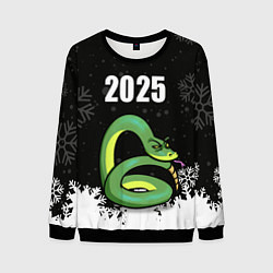 Свитшот мужской Змея - 2025, цвет: 3D-черный
