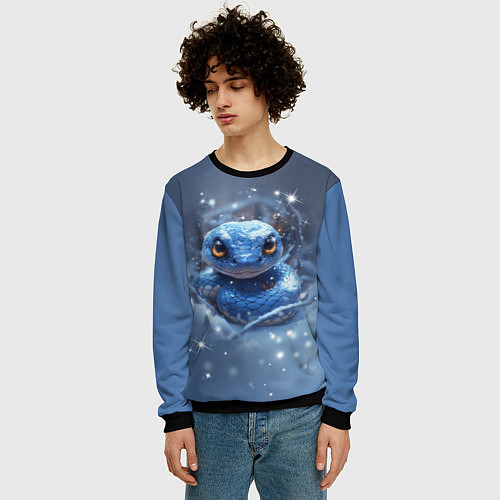 Мужской свитшот Змея с большими глазами / 3D-Черный – фото 3
