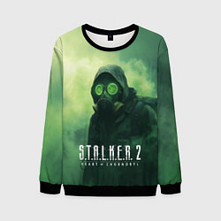 Мужской свитшот Stalker 2 сердце Чернобыля