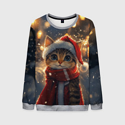 Свитшот мужской Новогодний котик и фонари, цвет: 3D-меланж