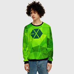 Свитшот мужской Exo green poly, цвет: 3D-черный — фото 2