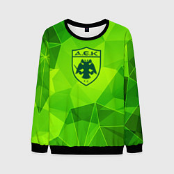 Мужской свитшот AEK Athens green poly