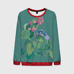 Свитшот мужской Малина и синичка, цвет: 3D-красный