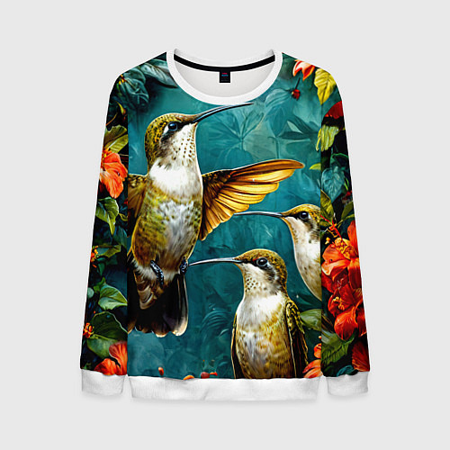 Мужской свитшот Три птички колибри / 3D-Белый – фото 1