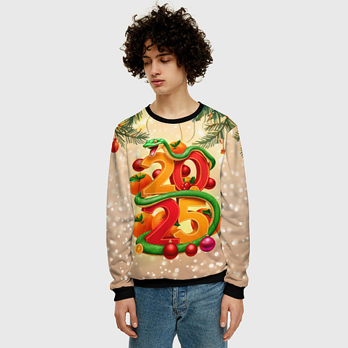 Мужской свитшот Веселая змея 2025 / 3D-Черный – фото 3