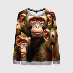 Свитшот мужской Макаки, цвет: 3D-меланж
