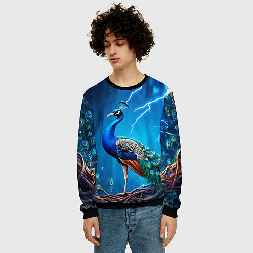 Мужской свитшот Павлин и молния / 3D-Черный – фото 3