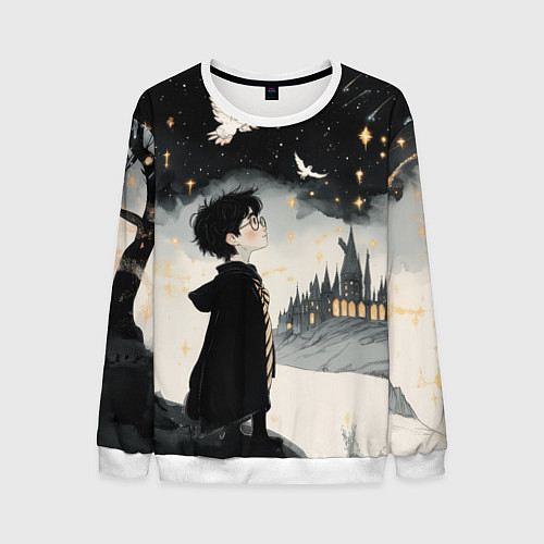 Мужской свитшот Гарри Поттер и совы / 3D-Белый – фото 1
