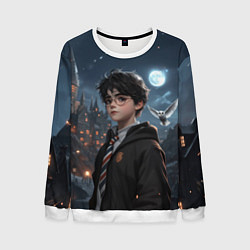 Мужской свитшот Гарри Поттер полнолуние