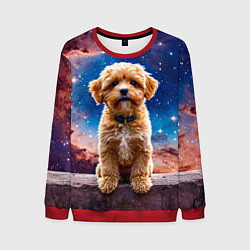 Свитшот мужской Мальтипу в космосе, цвет: 3D-красный
