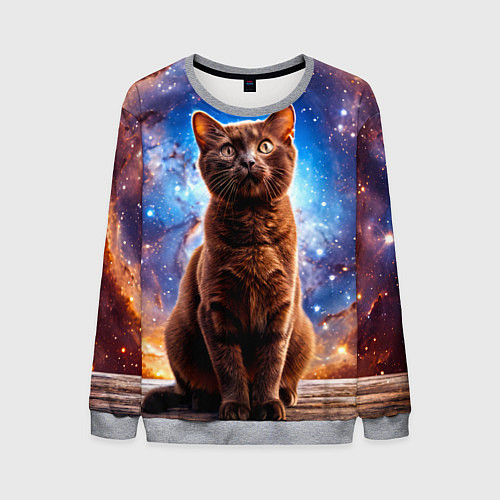 Мужской свитшот Бурма в космосе / 3D-Меланж – фото 1