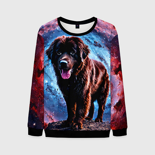 Мужской свитшот Ньюфаундленд в космосе / 3D-Черный – фото 1