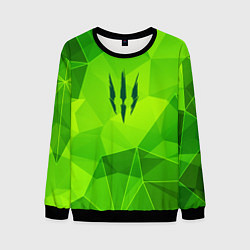 Свитшот мужской The Witcher green poly, цвет: 3D-черный