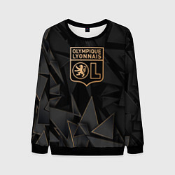 Мужской свитшот Lyon golden poly