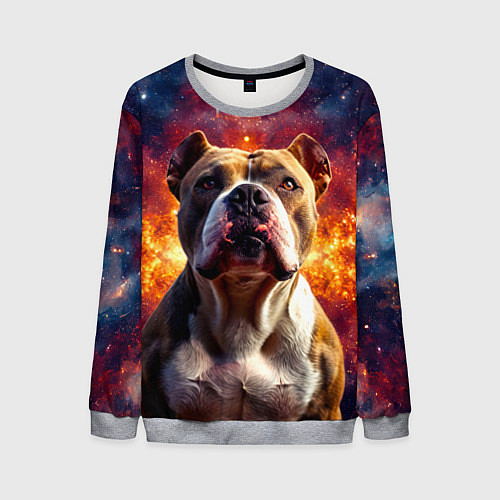 Мужской свитшот Американский булль в космосе / 3D-Меланж – фото 1