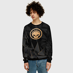 Свитшот мужской The Offspring golden poly, цвет: 3D-черный — фото 2
