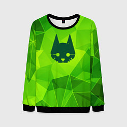 Мужской свитшот Stray green poly