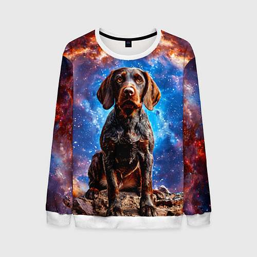 Мужской свитшот Дратхаар в космосе / 3D-Белый – фото 1