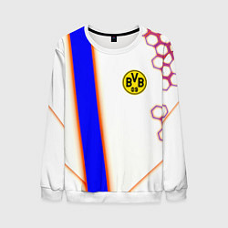 Мужской свитшот Borussia geometry sport