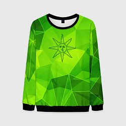 Свитшот мужской Dark Souls green poly, цвет: 3D-черный