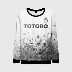 Мужской свитшот Totoro - white gradient посередине
