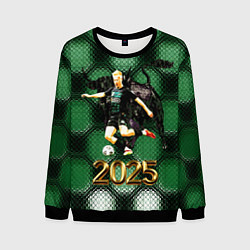 Мужской свитшот ФК Краснодар чемпион РПЛ 2025