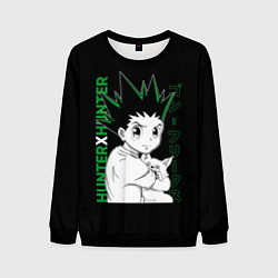 Свитшот мужской Гон Фрикс Хантер х Хантер, цвет: 3D-черный