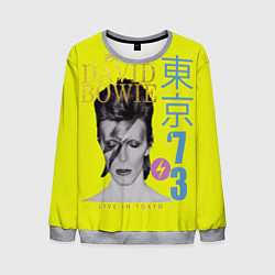 Мужской свитшот David Bowie 1973
