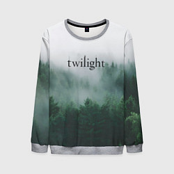 Мужской свитшот Twilight forest