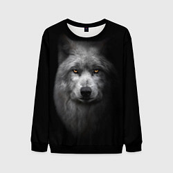 Мужской свитшот Суровый волк с холодным нордическим взглядом