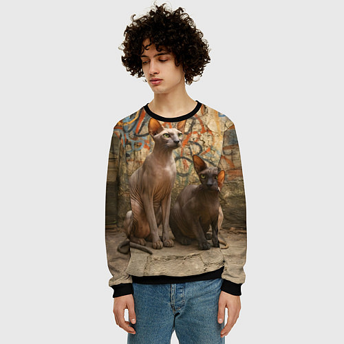 Мужской свитшот Петерболды сидят на фоне стены с граффити / 3D-Черный – фото 3