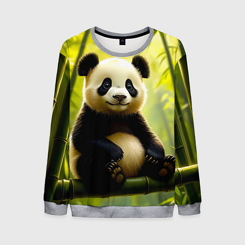 Мужской свитшот Бамбуковый хранитель / 3D-Меланж – фото 1