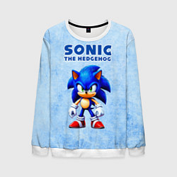 Мужской свитшот Соник - синий ёж